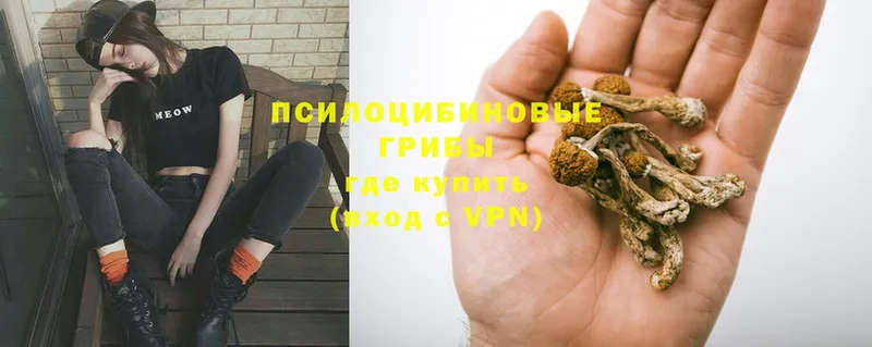 Галлюциногенные грибы GOLDEN TEACHER  купить наркотики цена  гидра зеркало  Полярные Зори 